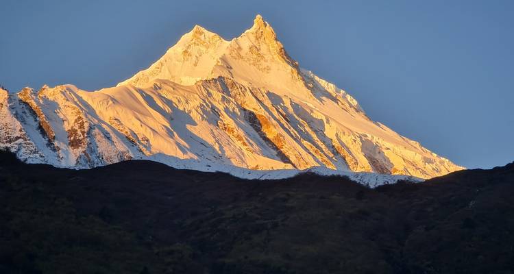 Le Mont Manaslu couvert de neige brillant d'une lueur orange à la première lumière de l'aube contre un ciel dégagé.