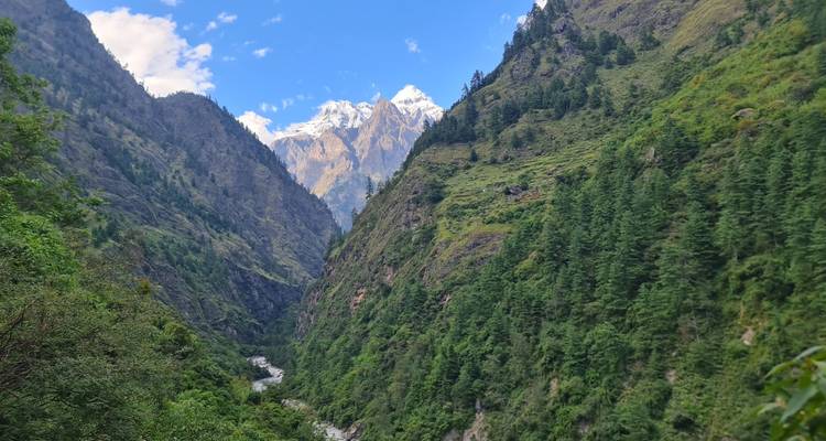 Vallée verdoyante aux pentes abruptes avec rivière et versants boisés menant à des pics enneigés lointains sous un ciel bleu.