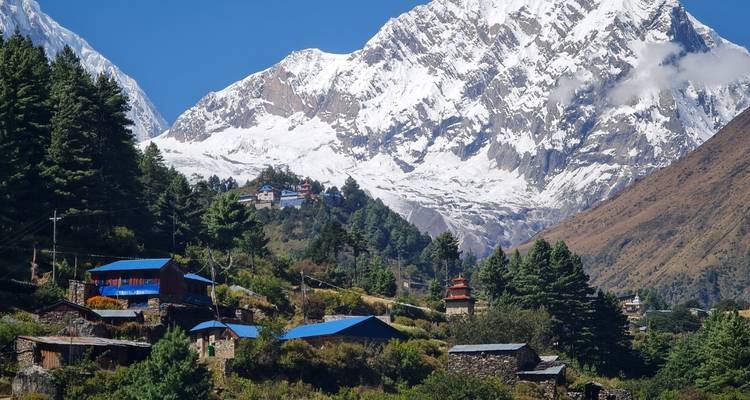 Village de montagne népalais aux maisons aux toits bleus encadré par des sapins sous de vastes montagnes enneigées.