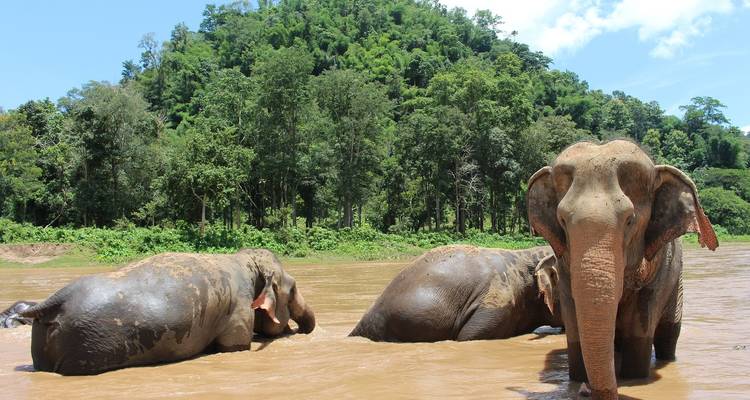 Northern Thai Highlights - Contiki 8