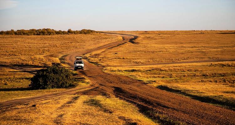 Les points forts du Kenya - Costsaver 6