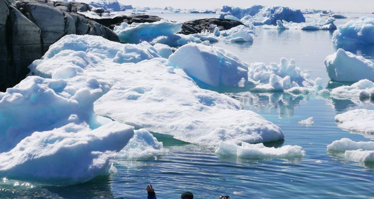 Complete East Greenland - 2025 - Albatros Expeditions 10