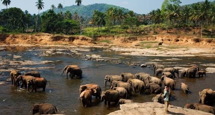 AMAZING SRI LANKA CYCLING TOUR - Tweet World Travel 7