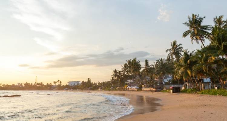 AMAZING SRI LANKA CYCLING TOUR - Tweet World Travel 10