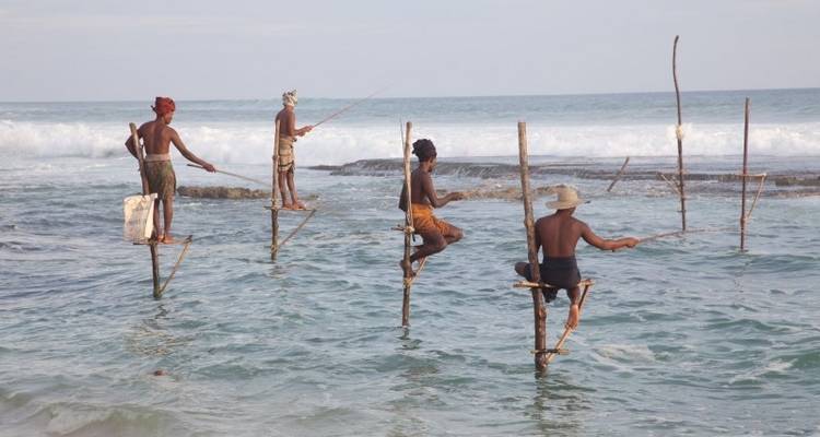 PEARL OF SRI LANKA DISCOVERY TOUR - Tweet World Travel 1