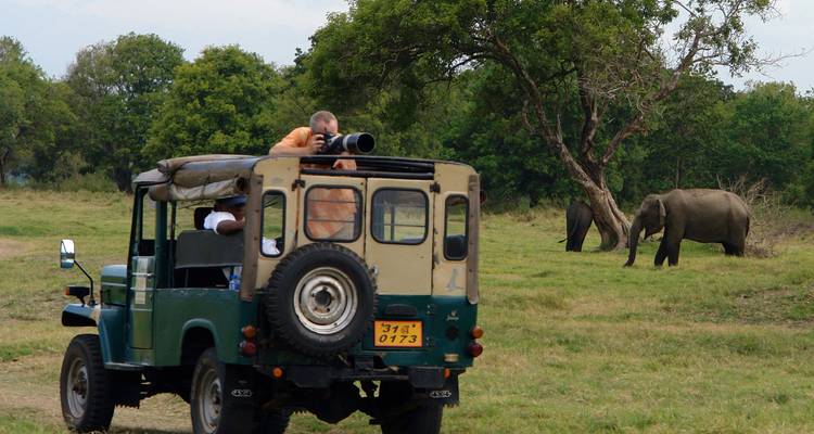 Jeep safari con fotógrafos observa elefantes salvajes pastando en un parque de Sri Lanka