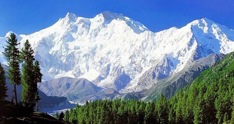 Nepal Ascensión al pico Paldor 17 días 16 noches - Mega Mount Treks and Expedition Pvt.Ltd.  3