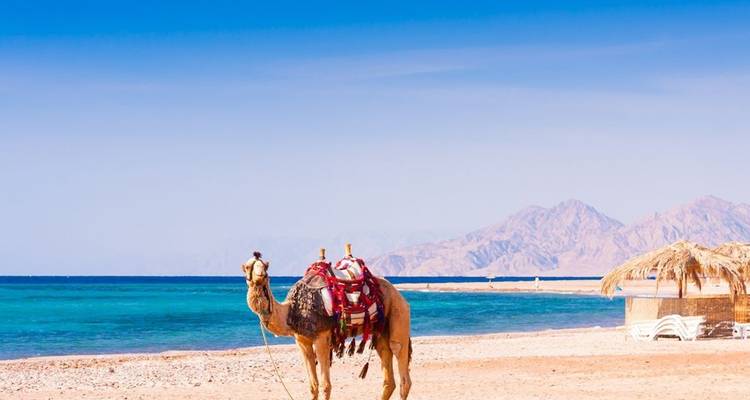 Circuit Nil et plage en Egypte - Alacart Travel Egypt 7