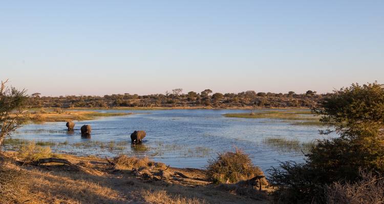 Safari de 3 días en tiendas por el Delta del Okavango y el río Boteti - The Mzansi Experience 8