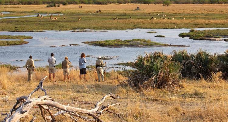 Safari de 3 días en tiendas por el Delta del Okavango y el río Boteti - The Mzansi Experience 9