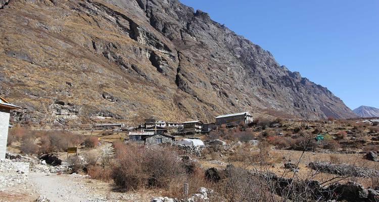 Trek dans la vallée du Langtang - Ace the Himalaya 6