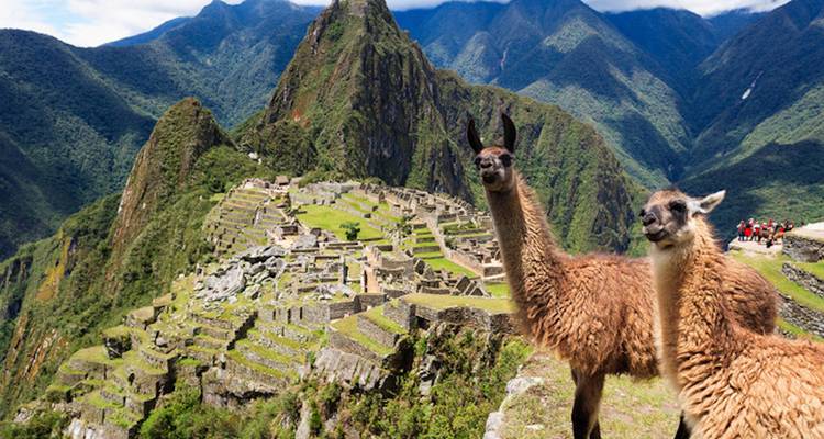 Panorama de Perú (Tren a Machu Picchu) - Contiki 4