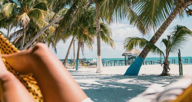 Vue depuis un hamac vers une plage de sable blanc bordée de palmiers et une mer turquoise par une journée ensoleillée.