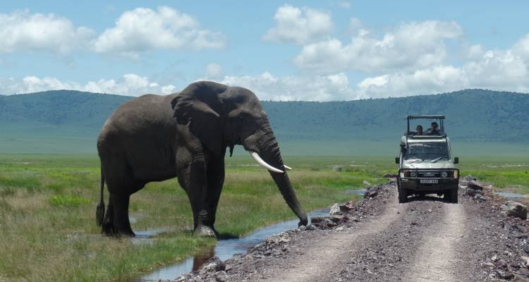 4 Days Masai Mara Air safari - Muraa African Safaris 1