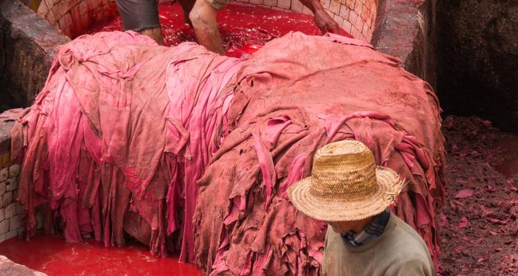Historia y arena - Fez, el desierto del Sáhara, Marrakech, ¡y más! - Wanderlust Voyages 2