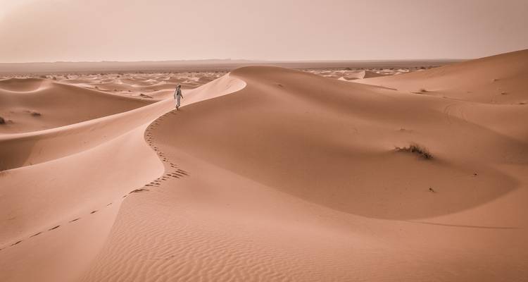 Historia y arena - Fez, el desierto del Sáhara, Marrakech, ¡y más! - Wanderlust Voyages 4