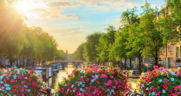 Experiencia del Rin Ámsterdam y Rotterdam 2025 - A-ROSA 3