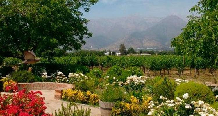 Expérience culinaire de luxe à Santiago du Chili - 4 jours - Signature DMC 10