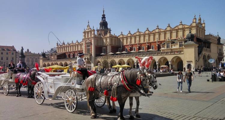 Paardenkoets voor historische architectuur.