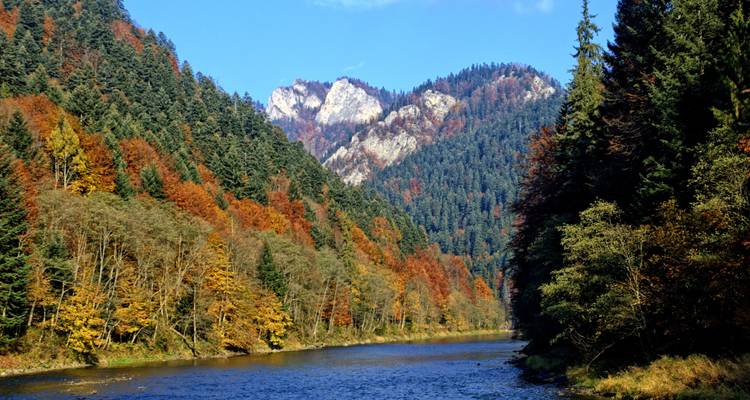 Herfstgebladerte langs een rivier met bergen op de achtergrond.