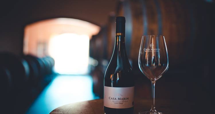 10 Days Unique Experience for WINE Lovers @ Argentina and Chilean Premium Vineyards - Signature DMC 7