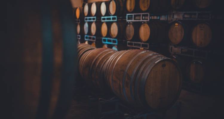10 Days Unique Experience for WINE Lovers @ Argentina and Chilean Premium Vineyards - Signature DMC 8