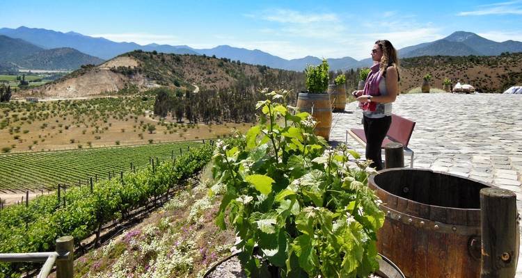 10 Days Unique Experience for WINE Lovers @ Argentina and Chilean Premium Vineyards - Signature DMC 2