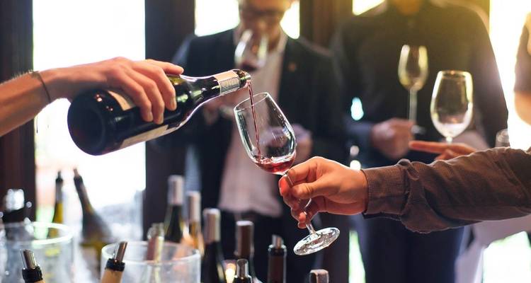 10 Days Unique Experience for WINE Lovers @ Argentina and Chilean Premium Vineyards - Signature DMC 10