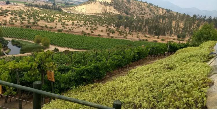 Expérience unique pour les amateurs de vin dans les vignobles argentins et chiliens de première qualité - 10 jours - Signature DMC 10