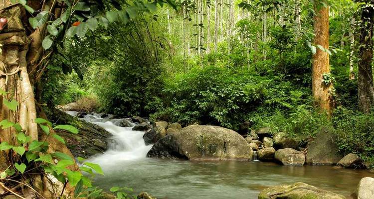 Explore Mysore, Coorg & Ooty (A Budget Friendly Tour) - MTA Destination Management Company 6