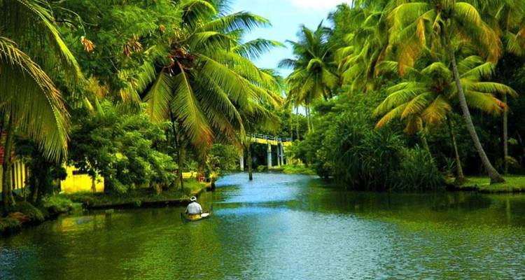 Explore Mysore, Coorg & Ooty (A Budget Friendly Tour) - MTA Destination Management Company 8