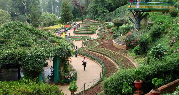 Explore Mysore, Coorg & Ooty (A Budget Friendly Tour) - MTA Destination Management Company 10