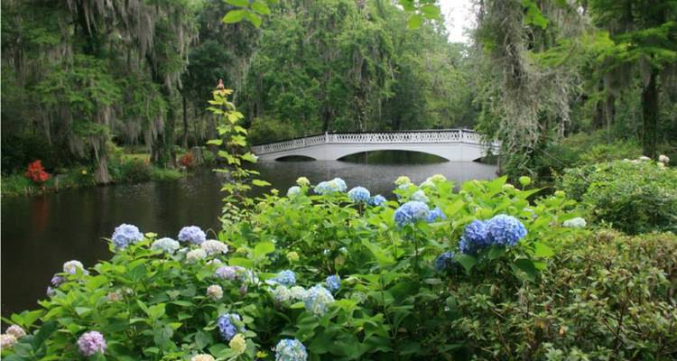 Beau jardin pittoresque avec un pont au-dessus d'un étang et des fleurs.