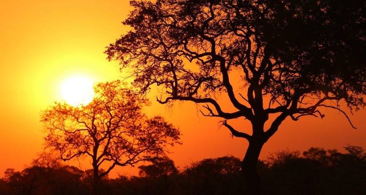 Aventure au safari d'Etosha, autotour - ATC Group 4