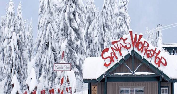 Vancouver Mountain to Mountain (Grouse, Cypress, Mount Seymour) Private - Globalduniya 6
