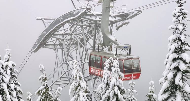 Vancouver Mountain to Mountain (Grouse, Cypress, Mount Seymour) Private - Globalduniya 2