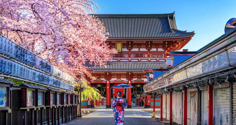 Mujer con un kimono colorido caminando hacia el templo Senso-ji rodeada de flores de primavera.