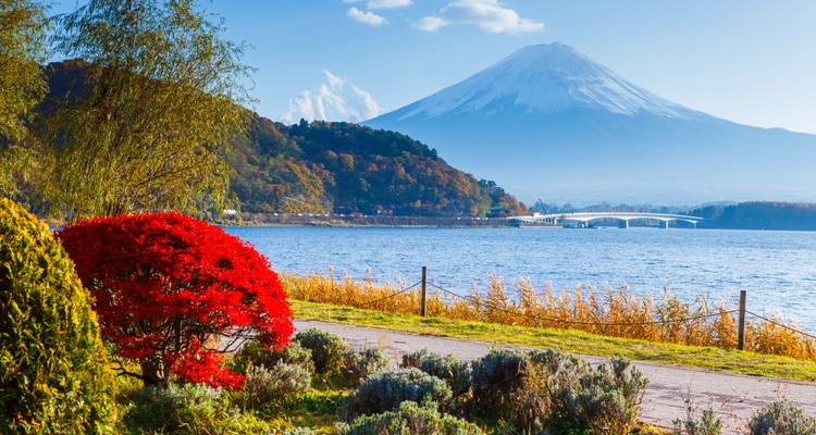 El majestuoso Monte Fuji con sus cimas nevadas se alza más allá de un tranquilo lago y un vibrante follaje otoñal.