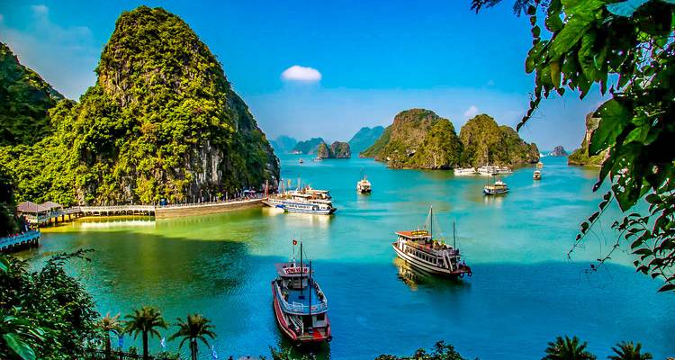 Schilderachtig uitzicht op Halong Bay met traditionele boten en kalkstenen kliffen.