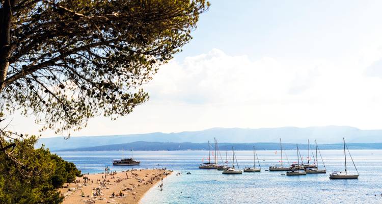 Scène de la plage Zlatni Rat ensoleillée avec des baigneurs, des yachts et un pin surplombant qui encadre le banc de sable.