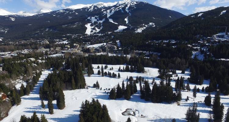 Snowy landscape with ski tracks and dense forest around.
