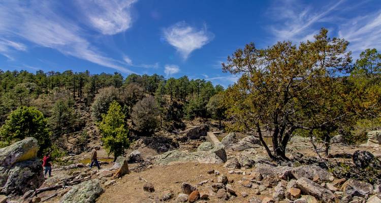 Menschen wandelen in een rotsachtig bosgebied onder een blauwe hemel.