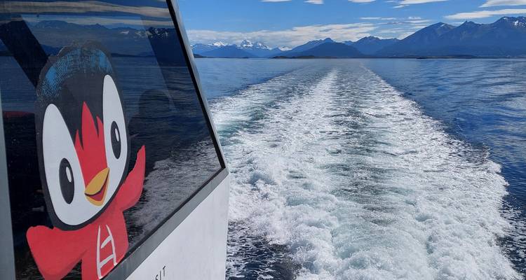Ushuaia Explorer : 4 jours d'aventure au bout du monde - Signature DMC 10