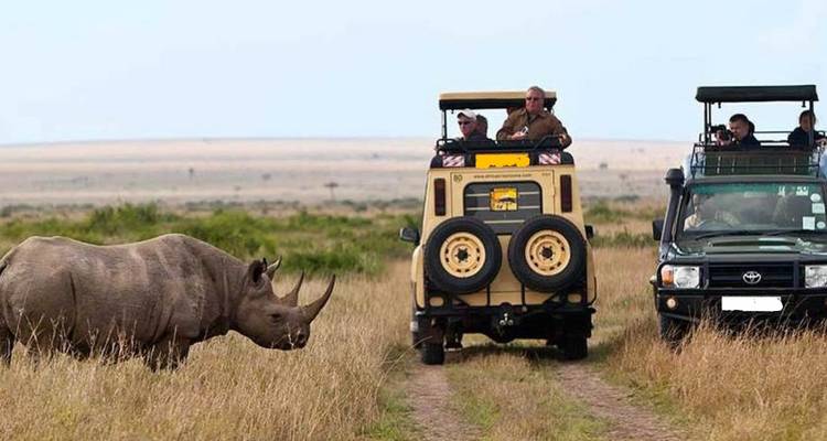 Safari privado de 11 días en tiendas de campaña por lo mejor de Kenia y Tanzania - Gracepatt Ecotours Kenya 4