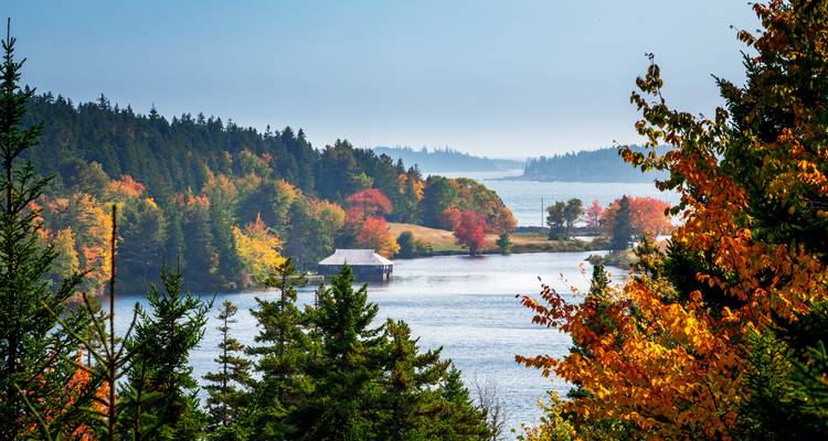 Vivid autumn foliage framing a tranquil inlet with forested islands and misty horizon in Maine.