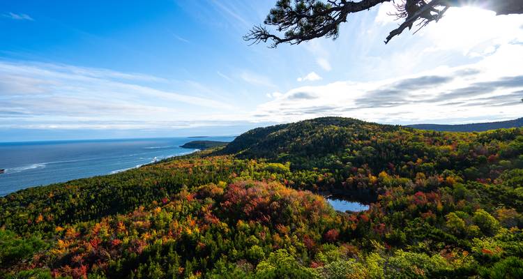 Vast autumn forest and coastline panorama of Acadia National Park under a bright sky