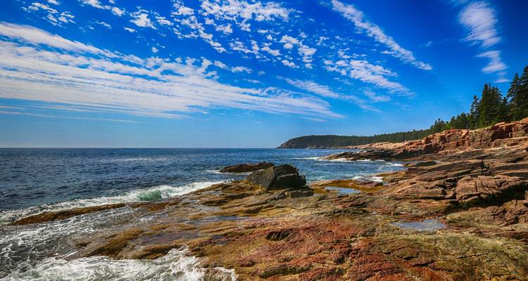 Rocky Atlantic shoreline with crashing waves and evergreen forest backdrop