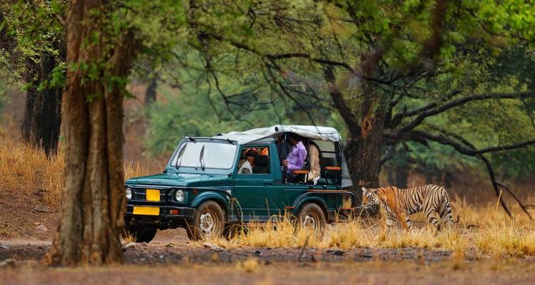North and South India Tour - UncleSam Holidays 2