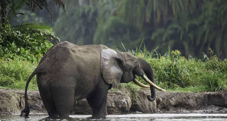 North and South India Tour - UncleSam Holidays 9