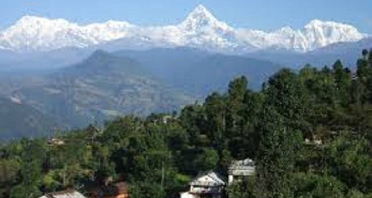 Distant snow-capped mountains with green forest in the foreground.